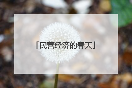 民营经济的春天