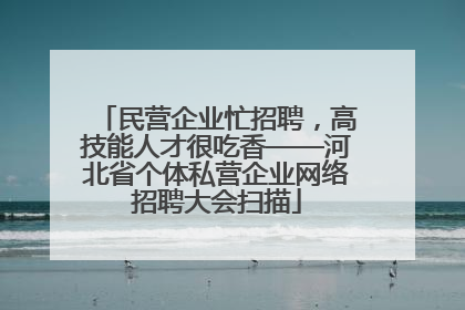 民营企业忙招聘，高技能人才很吃香——河北省个体私营企业网络招聘大会扫描