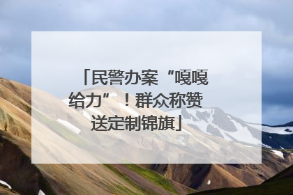 民警办案“嘎嘎给力”！群众称赞送定制锦旗