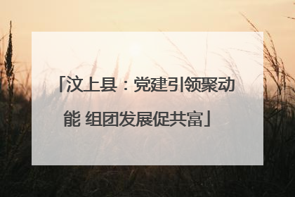 汶上县：党建引领聚动能 组团发展促共富