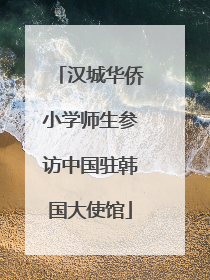 汉城华侨小学师生参访中国驻韩国大使馆