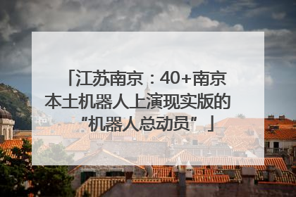 江苏南京：40+南京本土机器人上演现实版的“机器人总动员”