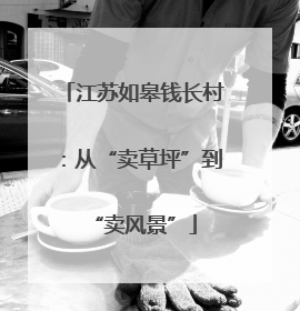 江苏如皋钱长村：从“卖草坪”到“卖风景”