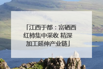 江西于都：富硒西红柿集中采收 精深加工延伸产业链
