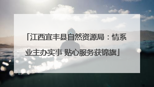 江西宜丰县自然资源局：情系业主办实事 贴心服务获锦旗