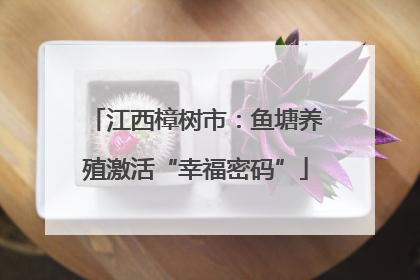 江西樟树市：鱼塘养殖激活“幸福密码”
