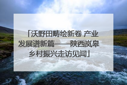沃野田畴绘新卷 产业发展谱新篇——陕西岚皋乡村振兴走访见闻