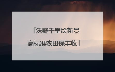 沃野千里绘新景 高标准农田保丰收