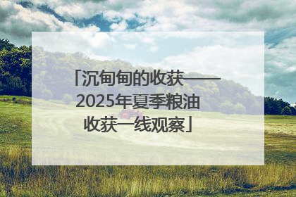 沉甸甸的收获——2025年夏季粮油收获一线观察