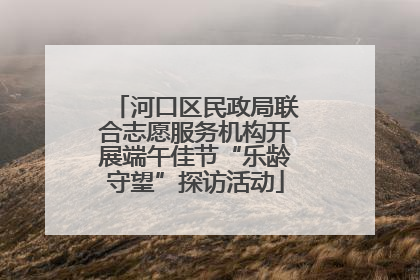 河口区民政局联合志愿服务机构开展端午佳节“乐龄守望”探访活动