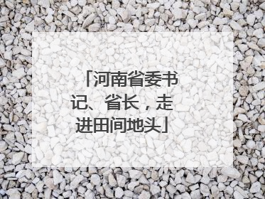 河南省委书记、省长，走进田间地头