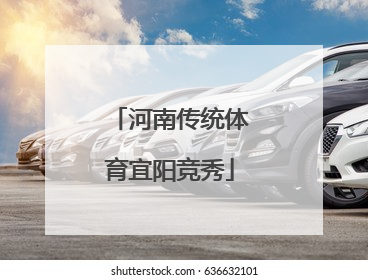 河南传统体育宜阳竞秀