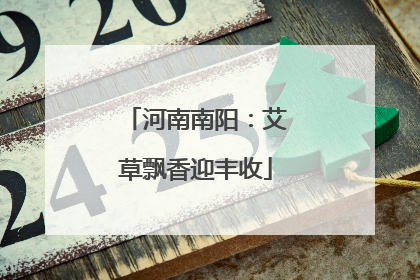 河南南阳：艾草飘香迎丰收