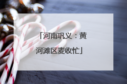 河南巩义：黄河滩区麦收忙