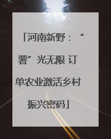 河南新野：“薯”光无限 订单农业激活乡村振兴密码