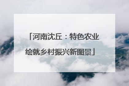河南沈丘：特色农业绘就乡村振兴新图景