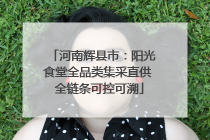 河南辉县市：阳光食堂全品类集采直供 全链条可控可溯