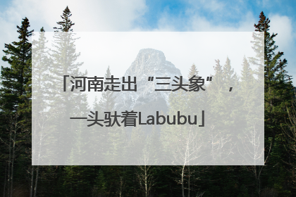 河南走出“三头象”，一头驮着Labubu