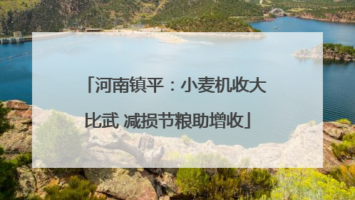 河南镇平：小麦机收大比武 减损节粮助增收