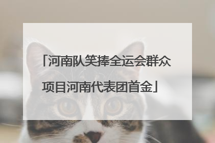 河南队笑捧全运会群众项目河南代表团首金
