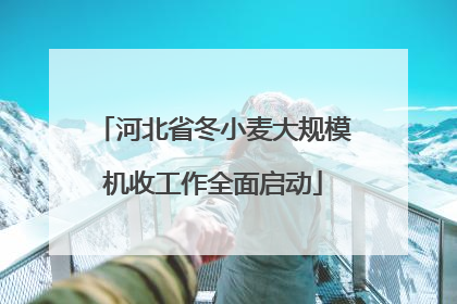河北省冬小麦大规模机收工作全面启动