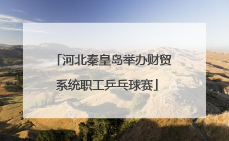 河北秦皇岛举办财贸系统职工乒乓球赛