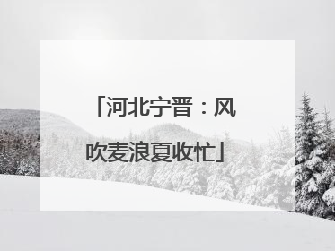 河北宁晋：风吹麦浪夏收忙