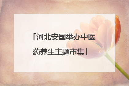 河北安国举办中医药养生主题市集