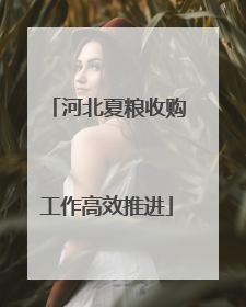 河北夏粮收购工作高效推进