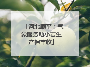 河北顺平：气象服务助小麦生产保丰收