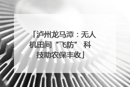 泸州龙马潭：无人机田间“飞防” 科技助农保丰收