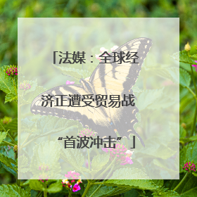 法媒：全球经济正遭受贸易战“首波冲击”
