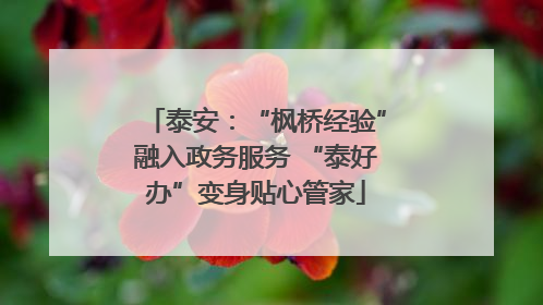 泰安：“枫桥经验”融入政务服务 “泰好办”变身贴心管家