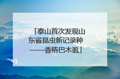 泰山首次发现山东省昆虫新记录种——香椿巴木虱