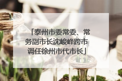泰州市委常委、常务副市长沈峻峰跨市调任徐州市代市长
