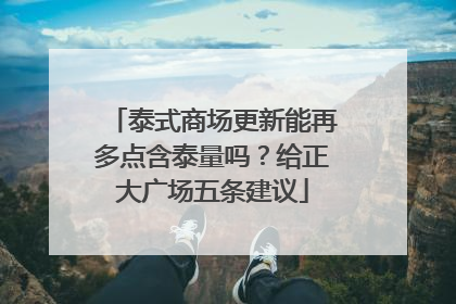 泰式商场更新能再多点含泰量吗？给正大广场五条建议