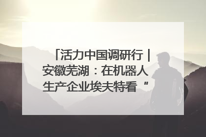 活力中国调研行｜安徽芜湖：在机器人生产企业埃夫特看“中国智造”