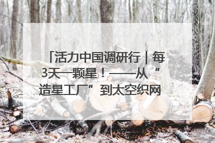 活力中国调研行｜每3天一颗星！——从“造星工厂”到太空织网的“银河速度”
