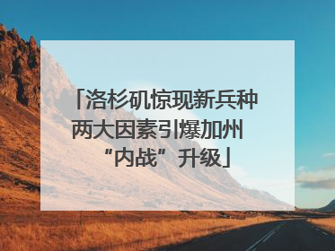 洛杉矶惊现新兵种 两大因素引爆加州“内战”升级