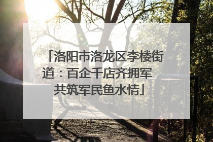 洛阳市洛龙区李楼街道：百企千店齐拥军 共筑军民鱼水情