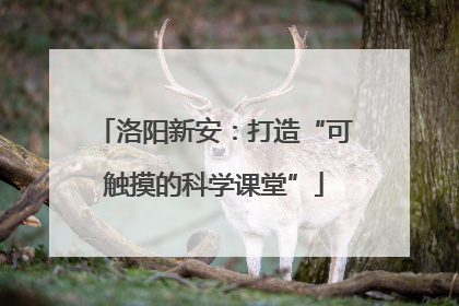 洛阳新安：打造“可触摸的科学课堂”