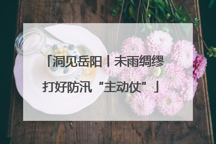 洞见岳阳丨未雨绸缪 打好防汛“主动仗”