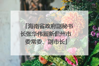 海南省政府副秘书长张华伟履新儋州市委常委、副市长