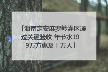 海南定安麻罗岭灌区通过关键验收 年节水199万方惠及十万人