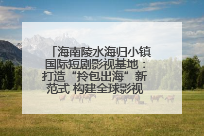 海南陵水海归小镇国际短剧影视基地：打造“拎包出海”新范式 构建全球影视产业“新热土”