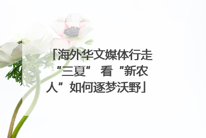 海外华文媒体行走“三夏” 看“新农人”如何逐梦沃野