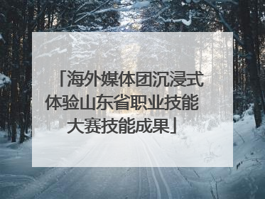 海外媒体团沉浸式体验山东省职业技能大赛技能成果