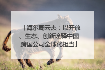 海尔周云杰：以开放、生态、创新诠释中国跨国公司全球化担当