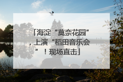 海淀“莫奈花园”，上演“稻田音乐会”！现场直击