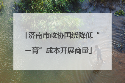 济南市政协围绕降低“三育”成本开展商量